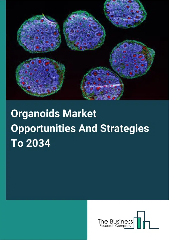 Organoids Market 2026