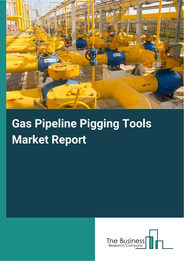 Global Gas Pipeline Pigging Tools Market Report 2026