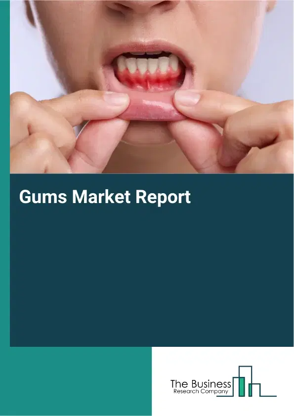 Global Gums Market Report 2026