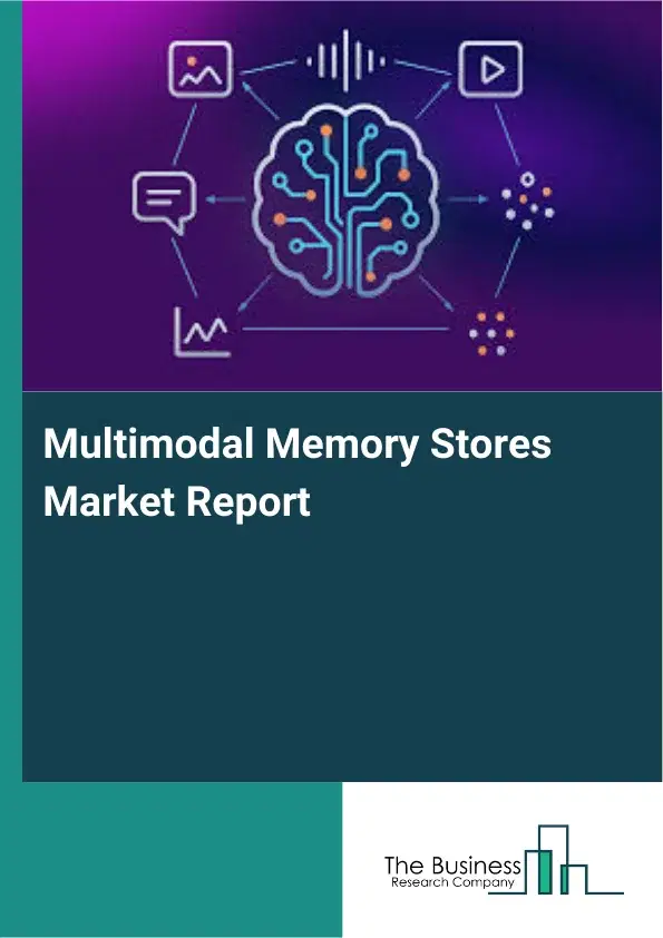 Global Multimodal Memory Stores Market Report 2026