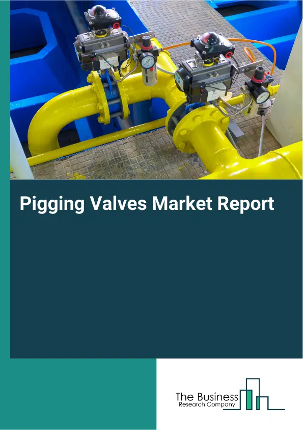 Global Pigging Valves Market Report 2026