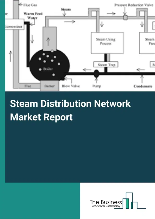 Global Steam Distribution Network Market Report 2026