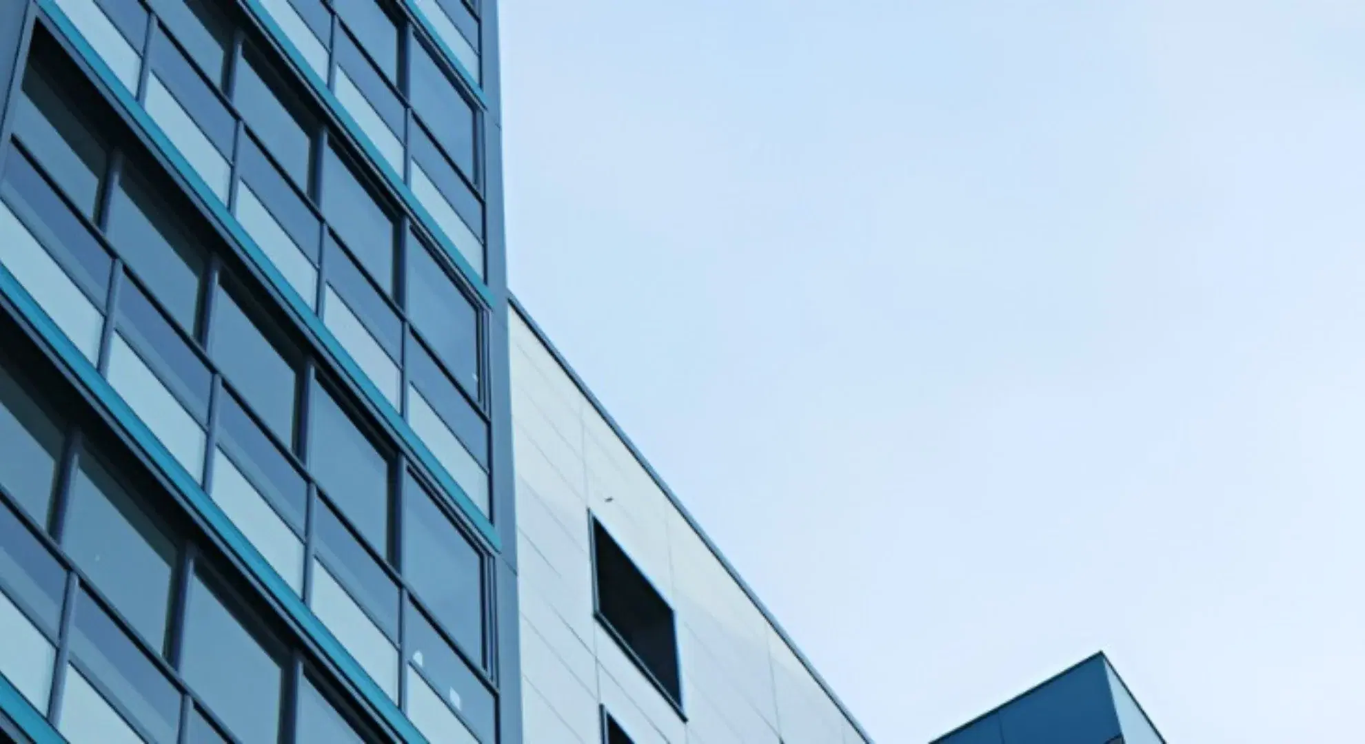 Expert Analysts Background