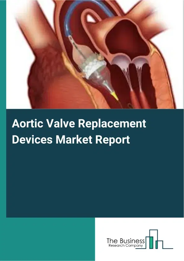 Global Aortic Valve Replacement Devices Market Report 2026 Global Aortic Valve Replacement Devices Market Report 2026
