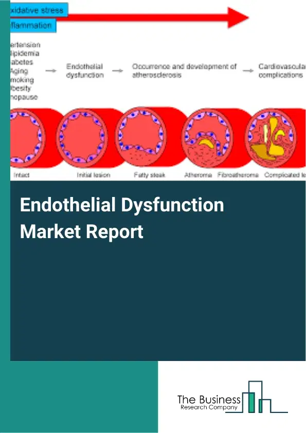 Global Endothelial Dysfunction Market Report 2026 Global Endothelial Dysfunction Market Report 2026