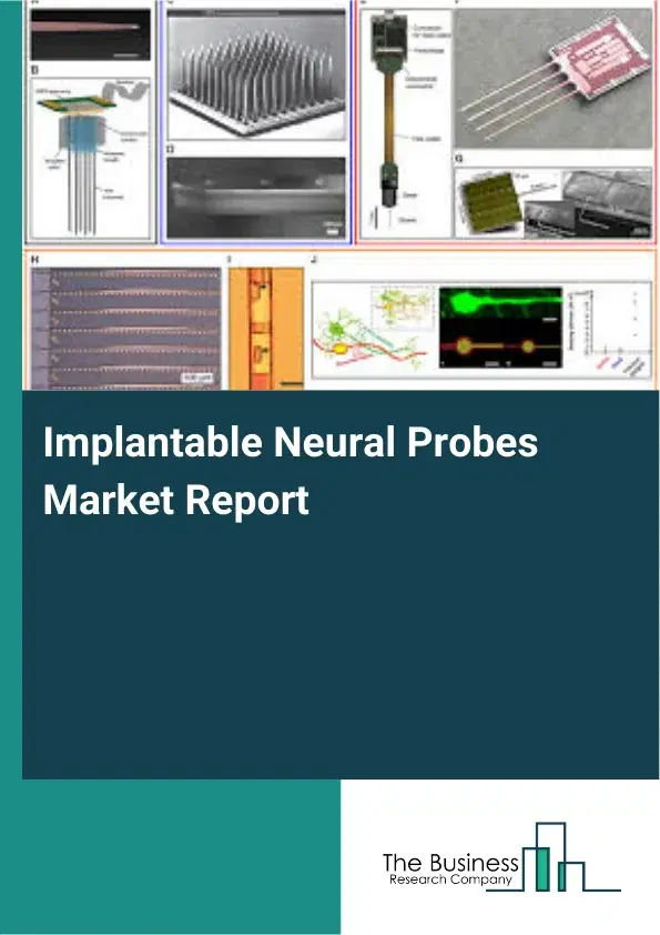 Global Implantable Neural Probes Market Report 2026 Global Implantable Neural Probes Market Report 2026