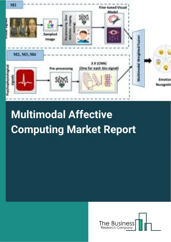 Global Multimodal Affective Computing Market Report 2026 Global Multimodal Affective Computing Market Report 2026
