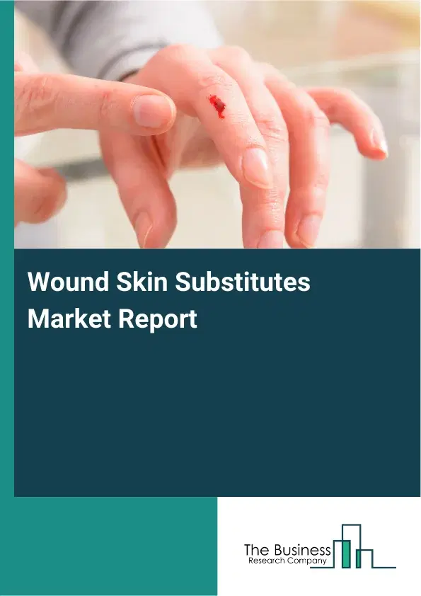 Global Wound Skin Substitutes Market Report 2026 Global Wound Skin Substitutes Market Report 2026